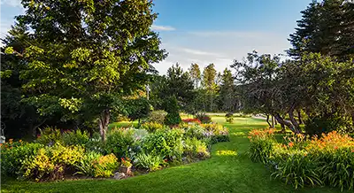 Beautiful landscaped yard with trees, plants, shrubs with manicured lawn.